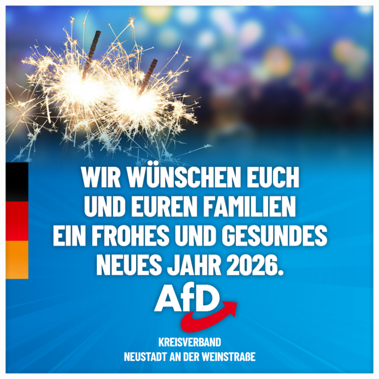 Jahresrückblick 2025