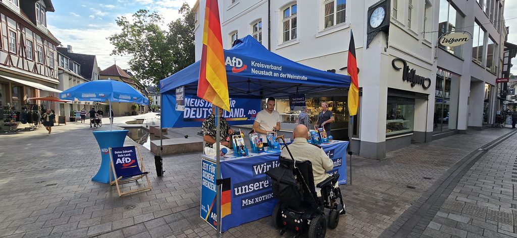 Informationsmaterial am AfD Infostand in Neustadt an der Weinstraße