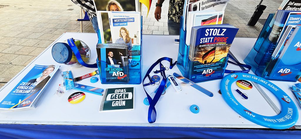 Flyer und Informationsmaterial der AfD Neustadt an der Weinstraße