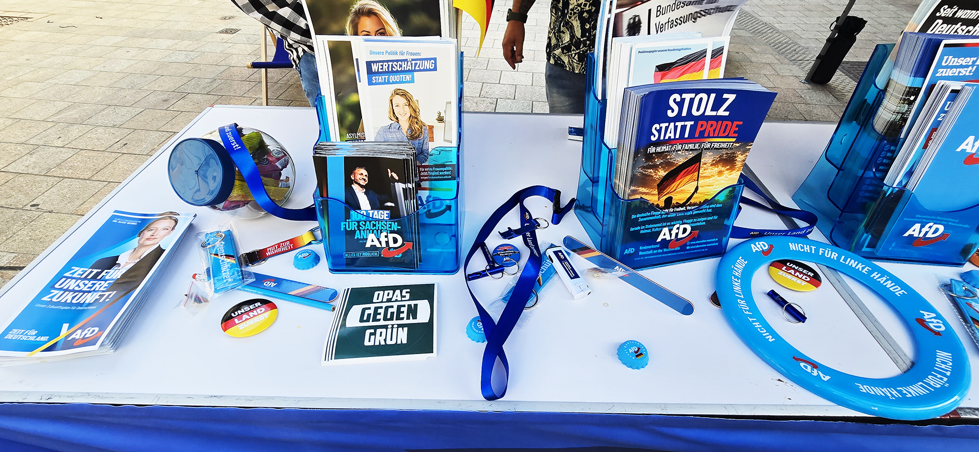 Informationsmaterial und Flyer am AfD Infostand in Neustadt an der Weinstraße