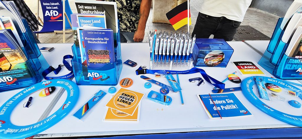 Flyer und Informationsmaterial der AfD Neustadt an der Weinstraße