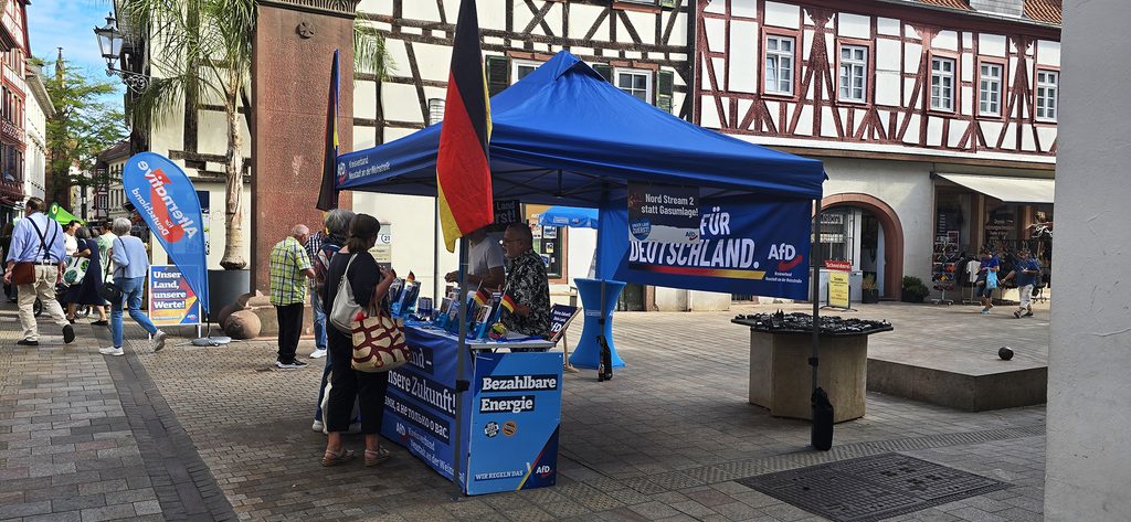 AfD Infostand mit Deutschlandfahnen in der Neustadter Fußgängerzone